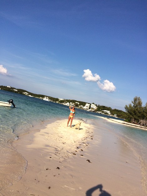 5E98051D-44A3-4889-AC01-DF154ECB3943