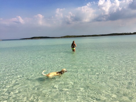 8BBA213F-D788-46E5-A81E-F81B7DE9DF61