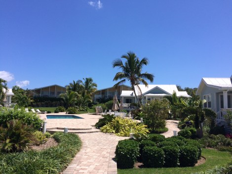 E62FB5A6-36FC-4F8C-B0FD-9CE82F396DA7