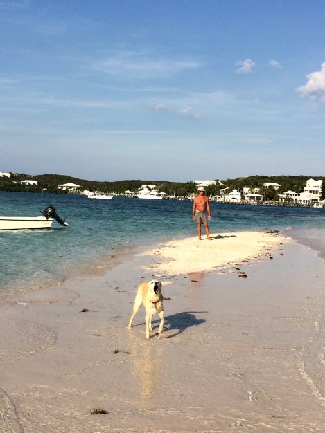 E66A282C-4BAD-4E09-AD0E-859324D36465