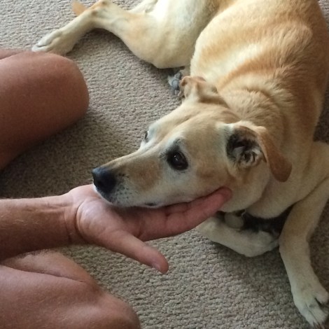 032807AB-3FDA-4DB1-ADE4-BF80E4AECD46