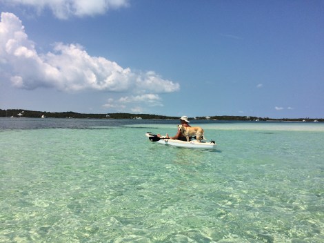 19CD667E-F1B4-4C62-963E-B90350C56B7C