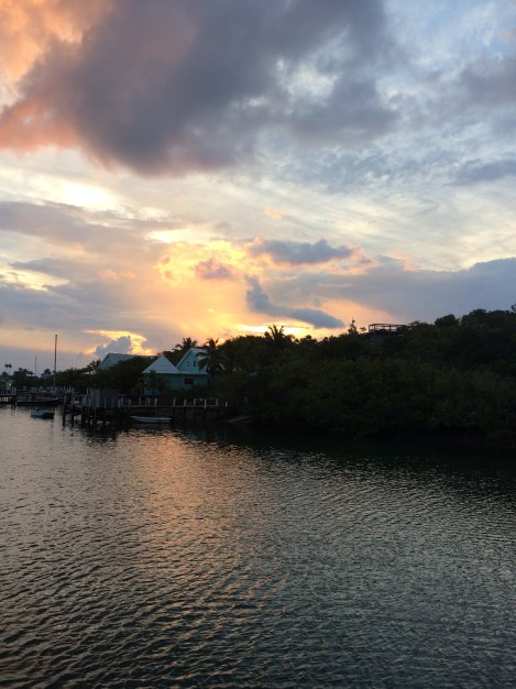 259301AF-C8CF-44E1-A1BD-7C436C676F6B