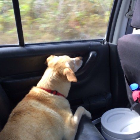 265D3D5F-02B7-4579-98F3-AEF550565134