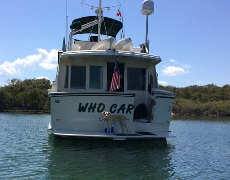 2BB9403D-DF62-4748-84DE-B3D1F155B08F