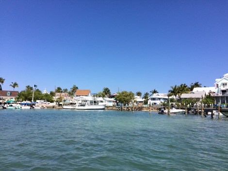 3DE5F4FA-6E0D-4974-8881-75CC846C5DA7