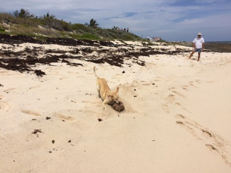 45FD0C52-B4B0-43BD-85E4-CFA24B0B9987