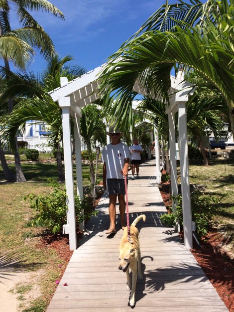 5156946B-FEEC-4D61-870B-BB8E374ACA03