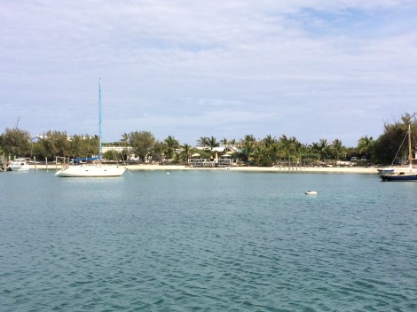 606CAF41-2818-491B-8D49-EADFC86F322E