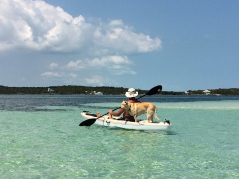 65E621F9-93BA-4425-AC1A-06893E129603