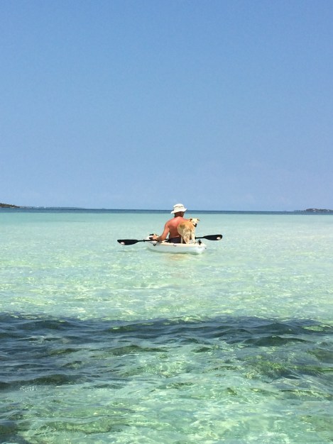 853B273B-ADB1-4510-A7AA-BA6B7011D823