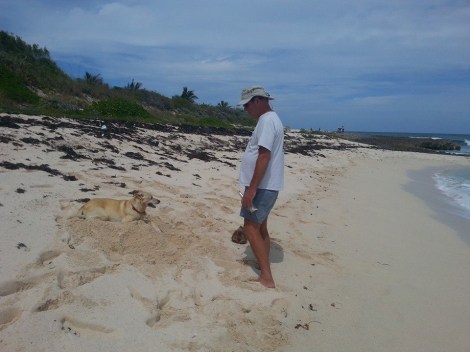 A83EDF18-C4C8-408D-9054-422A32BECE67