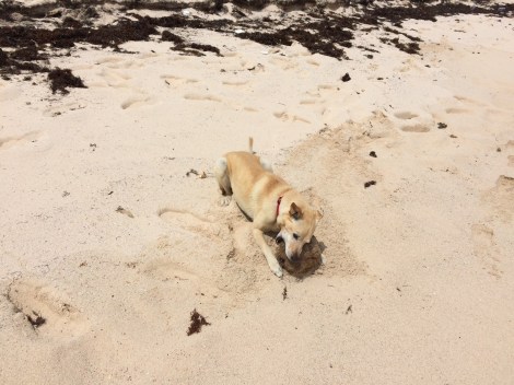 B533D9D6-F402-43B3-BBF0-D58711BAFF0E