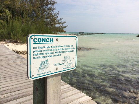 B543EC5A-D371-41B2-9270-648FC662C525