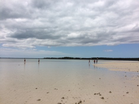 CBEF9D6A-C464-4823-A419-EC2A11CA117D