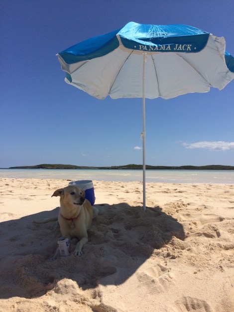 D0805B34-8AD3-4E17-BFDF-67D80BD2C3EF