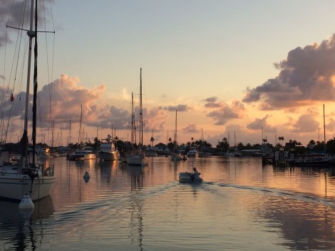 D6C4E9A6-1626-4D9D-9BF1-EB368E192ABA