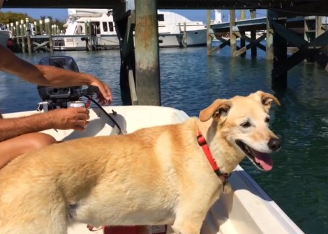 DA30F9EB-2BE1-45C6-9470-B54B0F93AE11