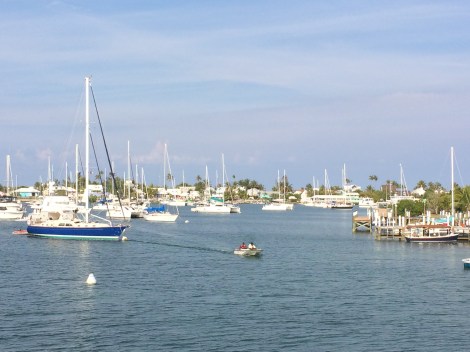 DA5095C4-D14B-4551-AB5F-393D406D6D83