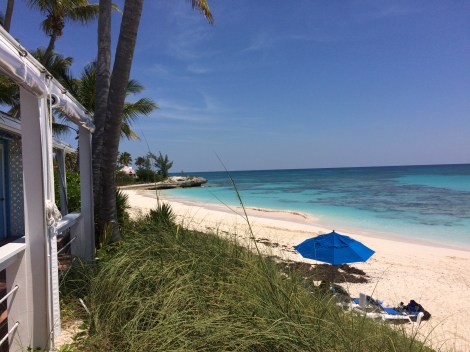 E1A661BA-4832-4977-B03D-91FBF7BEEB06