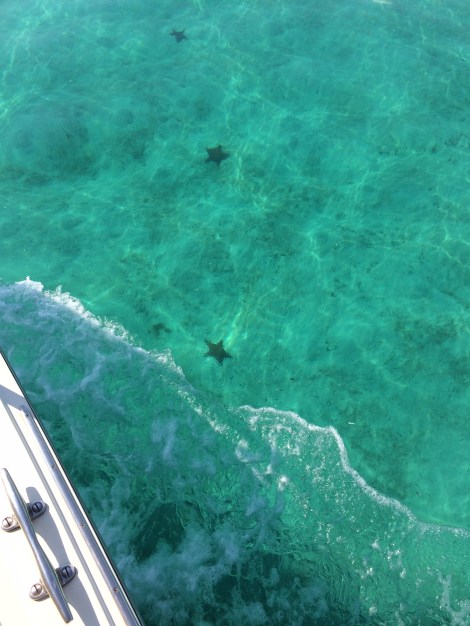 E4A66858-1D95-4424-8C16-E156FFD26619