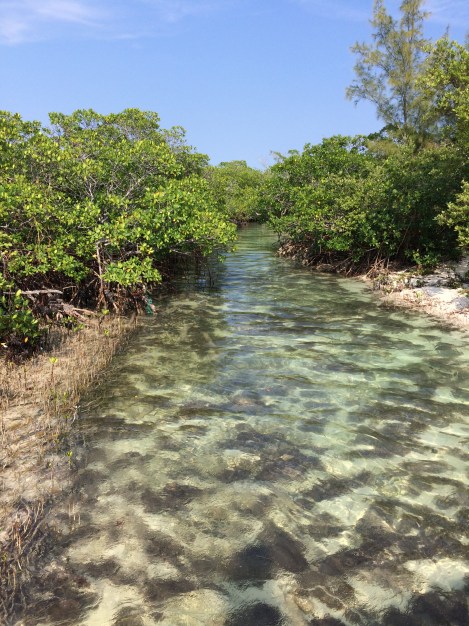 E8066DDC-C08B-408A-AB70-1388957C5251