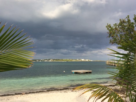 E86E444E-0D24-42BA-9A98-F858C5650398