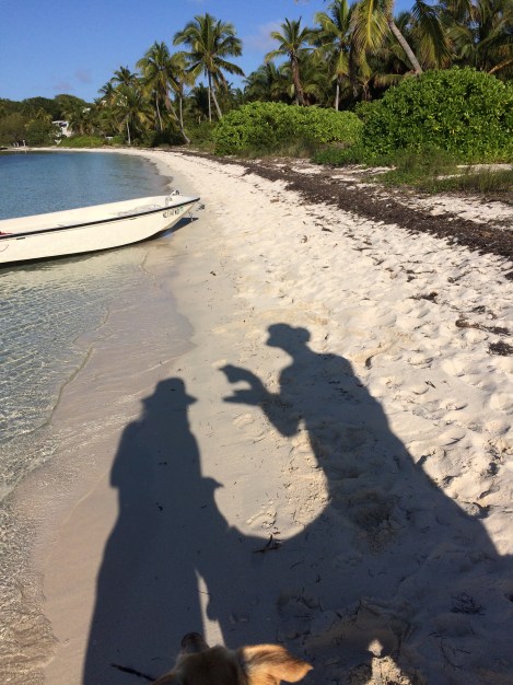 10B7F03D-9CCA-4D6A-8A7F-4383C677BDF9