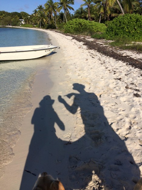 43BAAF9A-6A7B-494D-A0B1-A75DAE8434AA