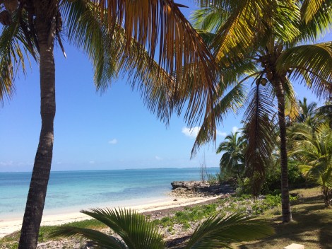 46021CC7-32CC-4C84-BBCB-B77619EBD769