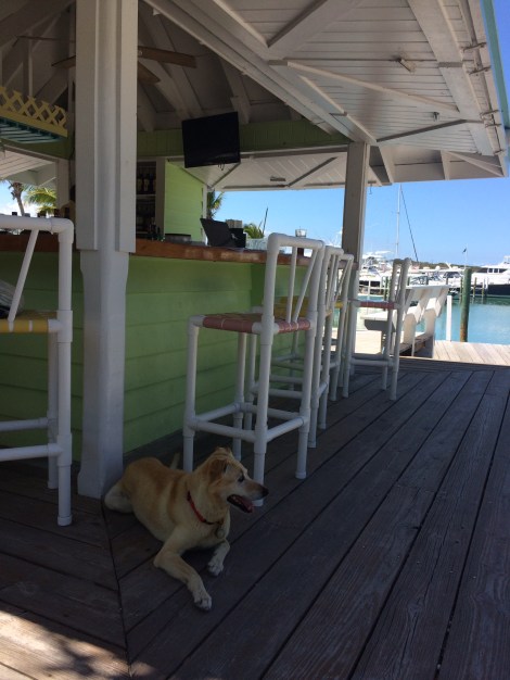 553DE910-BE2B-4E38-974D-4CDC926952D8