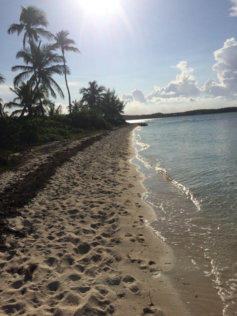 625339A8-35BB-44EF-9198-253D78BEDC91