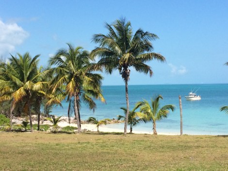 81C02941-4DC2-4C85-9096-E56550300D30