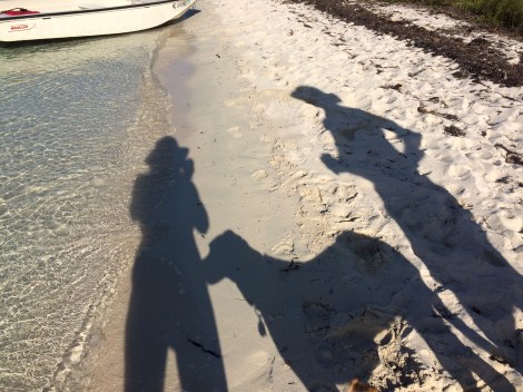 8E49B6B6-7543-47A4-9F21-CD486492F57F