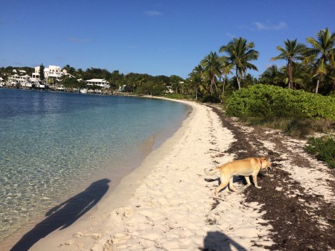 8F446305-85E9-43EE-A969-6FE6C4C85D07