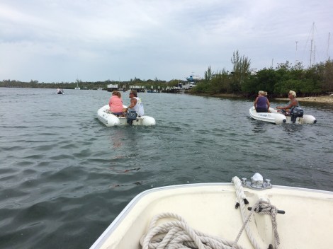 A1B9DE32-AE98-4C97-8EA3-E80C78827FD7