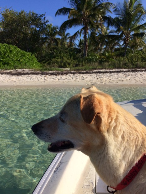 A245D84F-4437-44C6-88F6-BC1F7BE144E2