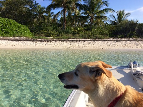 E37E30BB-A190-493B-9036-6B83481123AE