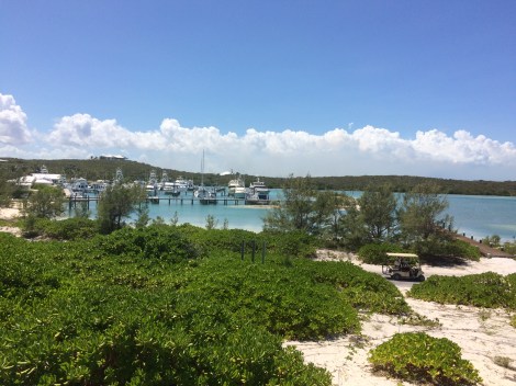 E78B5716-155D-4ECC-A572-4608627A98AA